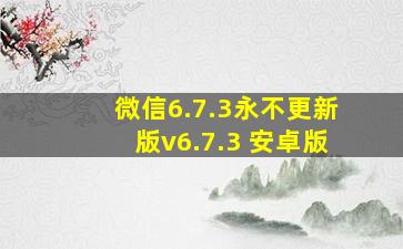 微信6.7.3永不更新版v6.7.3 安卓版